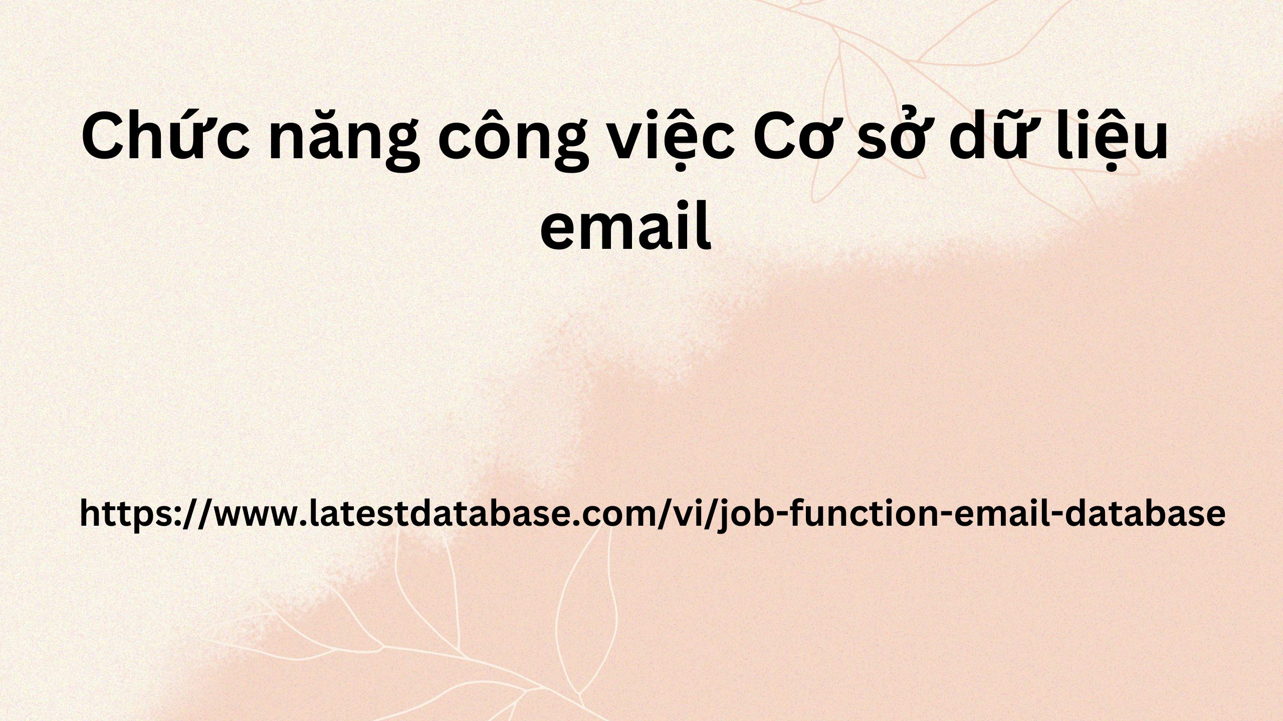 Chức năng công việc Cơ sở dữ liệu email 