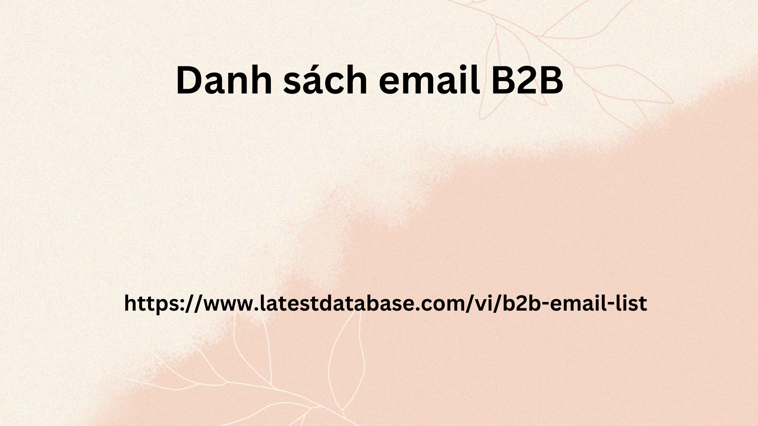 Danh sách email B2B 