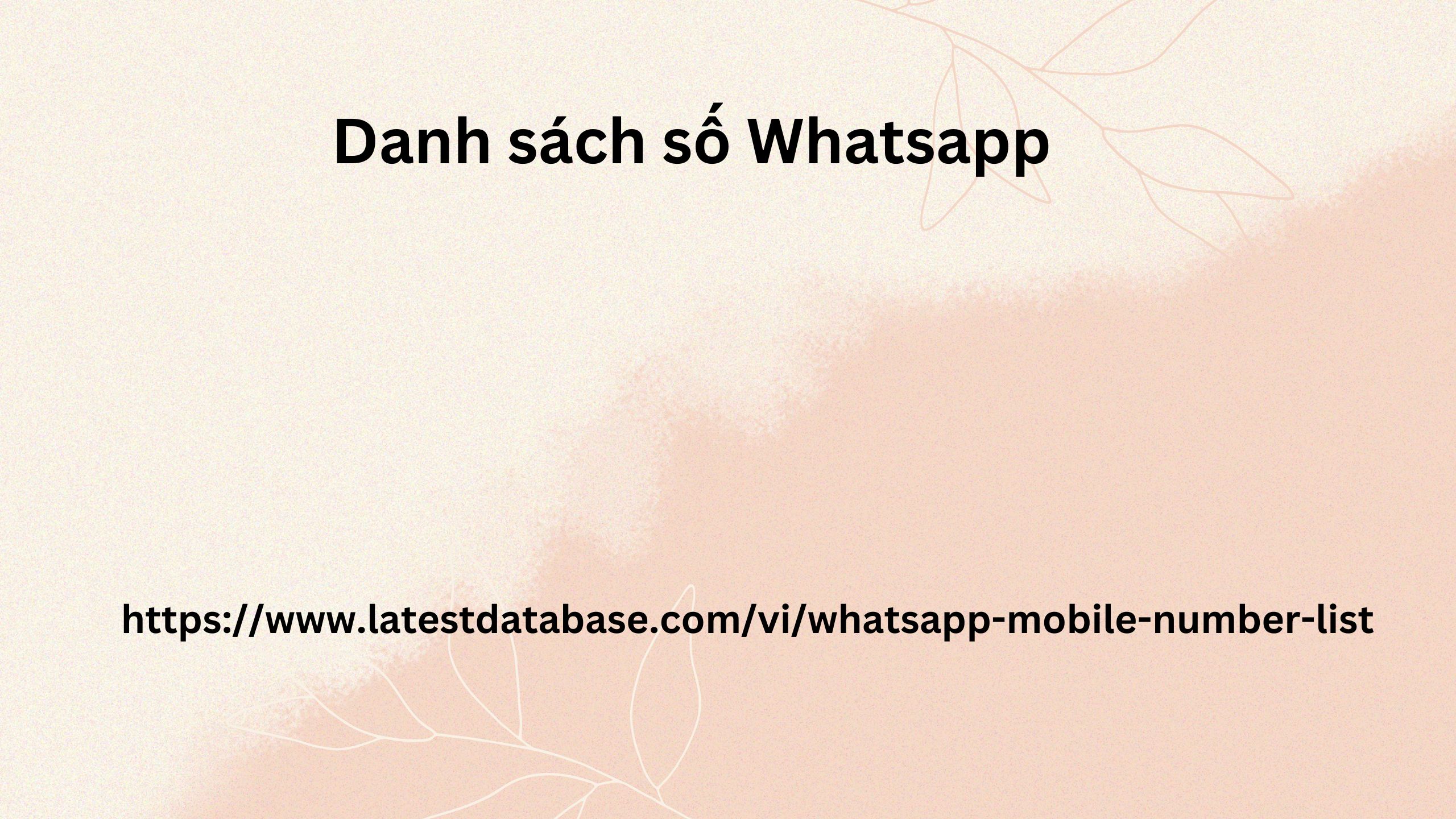 Danh sách số Whatsapp 