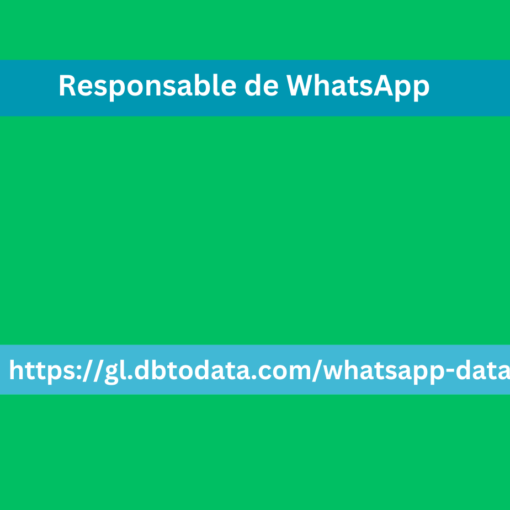 Responsable de WhatsApp