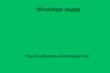 WhatsApp-лидер